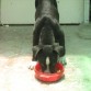 COMIENDO